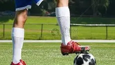 李金羽揭秘：即便名师如云，梦想才是引领前行的真正引擎！