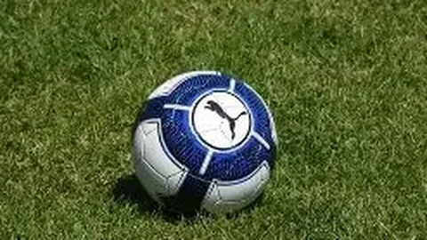 揭秘申花失冠真相！足球大咖犀利剖析，斯帅短板暴露无遗，冠军之路何去何从？