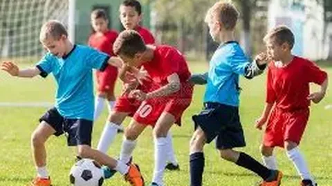 pa真人 资讯 094132 lbw