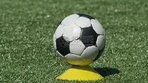 pa真人 资讯 094746 c0q