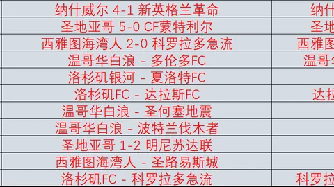 “揭秘：申花亚冠争议进球事件真相揭晓”